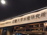 夕涼み会