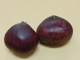 初蒸し栗