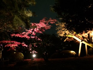ブラックフライデー！
