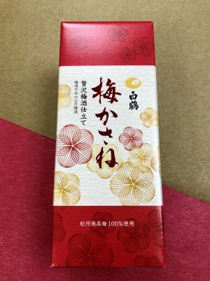 華やかにデビュー！