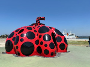 IMG_2223