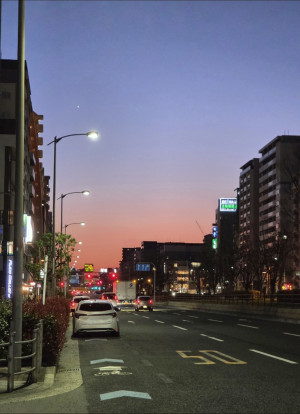 春が来た