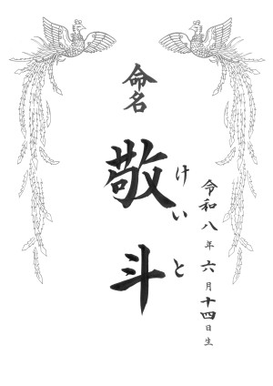 命名書